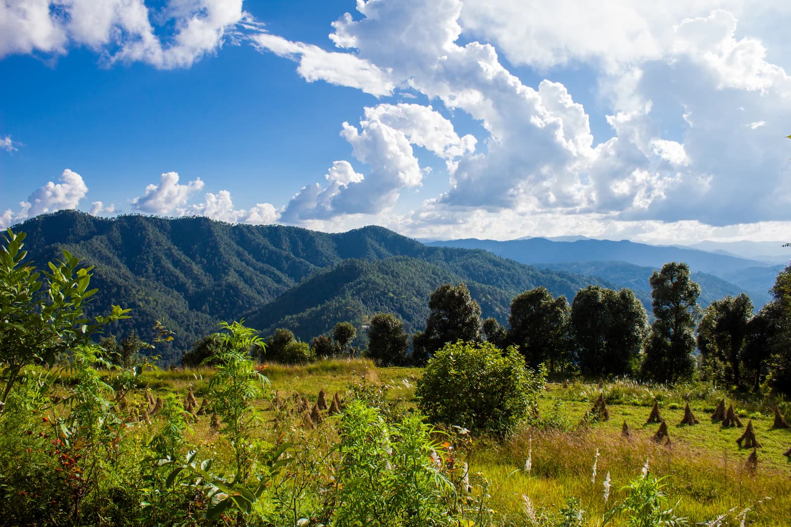 Uttarakhand mountain landscape